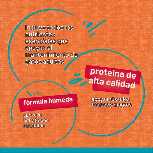 Vista 9 de Alimento húmedo para gatos Tasty Treasures de Purina (24, 5.5 onzas)