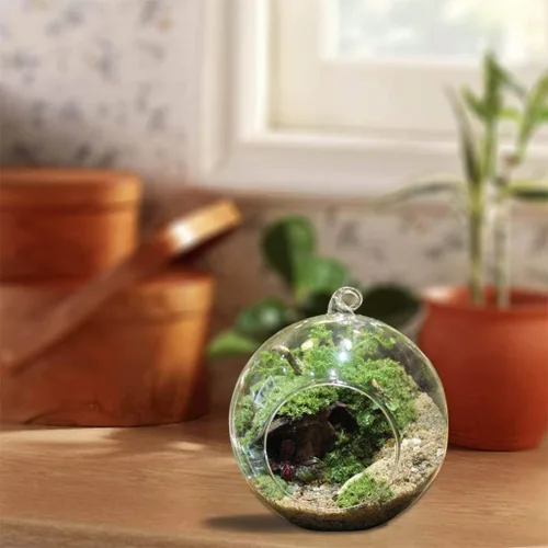 Vista 2 de NUEAYMS Maceta colgante de vidrio terrario globo té luz portavelas suculentas florero suspensión de plantas de aire terrario para el hogar, boda