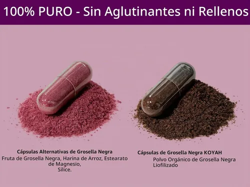 Vista 9 de KOYAH - Cápsulas de grosella negra orgánica, liofilizadas: 60 cápsulas