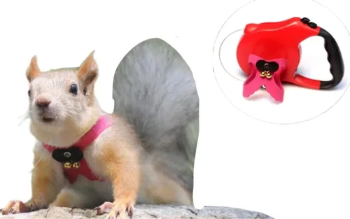 Vista 9 de Correa de cuerda de tracción de ardilla, cuerda de cadena antimordeduras, arnés para caminar pequeños animales con correa extensible para hámster