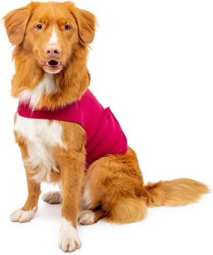 Vista 20 de Camisa Mellow Shirt para calmar la ansiedad de perros, Cypress