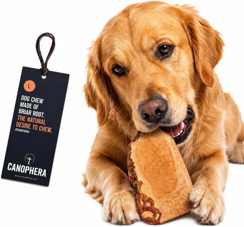 Vista 10 de Canophera Raíz masticable para perros, madera de brezo natural para dientes y encías saludables, tamaño pequeño