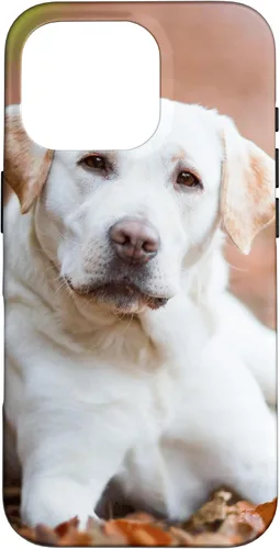 Vista 20 de Labrador Retriever Dog Lover - Carcasa para iPhone 17