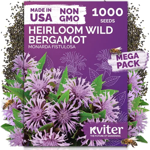 Vista 45 de KVITER 15,000 semillas de rosa musgo mixta para plantar (Portulaca grandiflora) – Cubierta de suelo con floración de reliquia, semilla de Portulaca