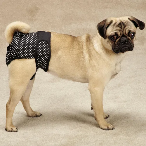 Vista 2 de ClearQuest Pañales para perros que protegen la humedad y las manchas, paquete de 2 Negro/Rosa