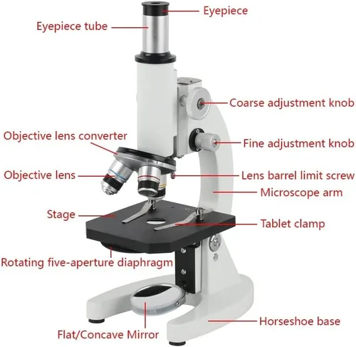 Vista 3 de Microscope Accessories Kit 40X 100X 160X 640X Monocular Biological Microscopio Microscope Slides (Color : 48MP 2K HDMI USB)