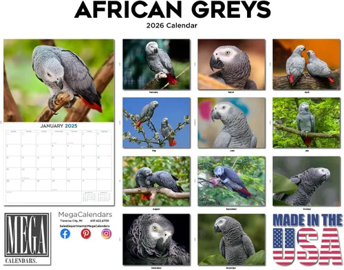 Vista 3 de Calendario de grises africanos 2025 2026 – Planificador mensual de pared de aves africanas – 12 x 18 pulgadas (abierto), calendario de pared