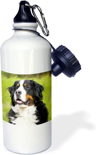 Vista 2 de 3dRose Botella de agua deportiva para perros de montaña Bernese, 21 onzas, color blanco