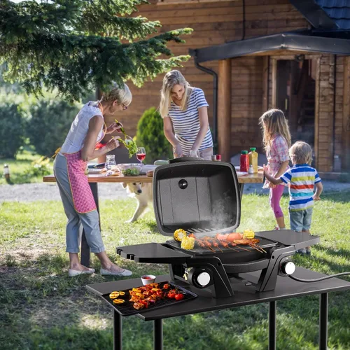 Vista 9 de Parrilla de gas portátil, parrilla de propano portátil, parrilla de gas propano, 24,000 BTU para exteriores, pequeña parrilla de barbacoa con dos
