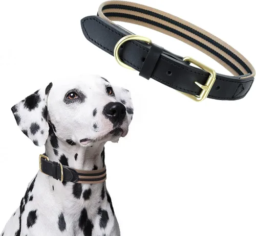 Vista 26 de Mile High Life Collar ajustable de polialgodón suave y fuerte con hebilla de liberación rápida para perros pequeños a grandes