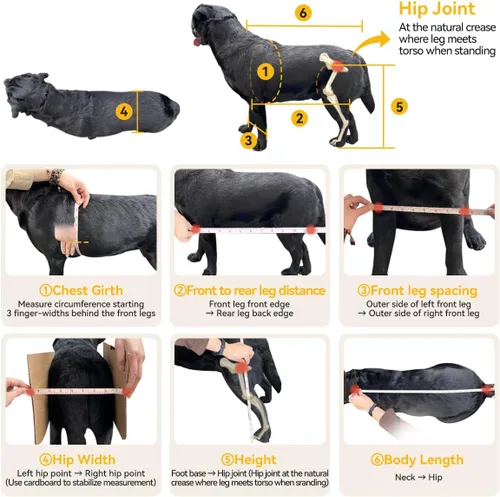 Vista 4 de Silla de ruedas para perros para patas traseras, silla de ruedas para perros pequeños a medianos, carritos ajustables para perros con ruedas