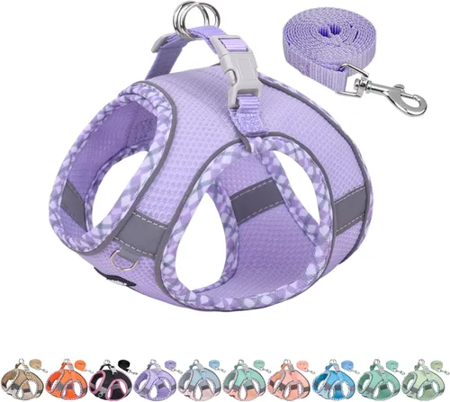 Vista 15 de AIITLE Arnés para Perros Pequeños - Chaleco Ligero de Malla Step-in para Cachorros, Diseño Reflectante y a Prueba de Escape con Cinta Mágica de Alta