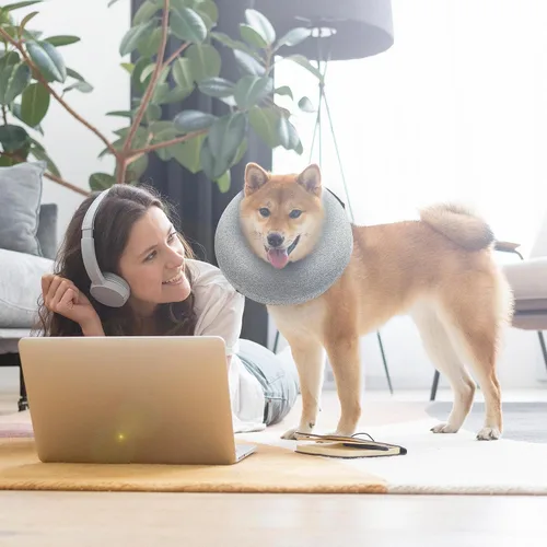 Vista 7 de Big Ant Collar inflable protector para perros y gatos, cono suave para perros después de la cirugía, collar de dona para cuello de perro, collar