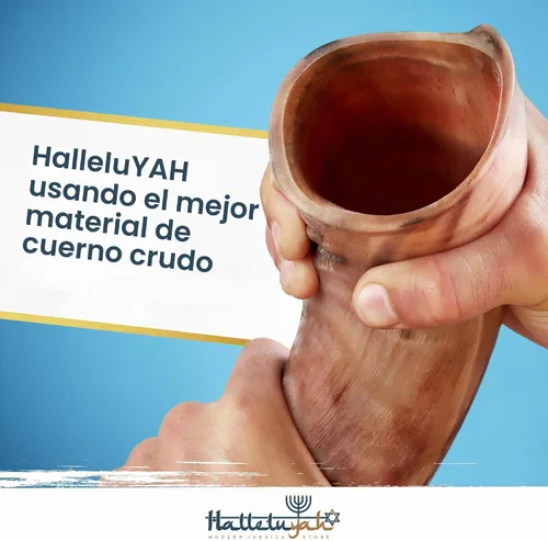Vista 4 de HalleluYAH Kudu Shofar medio pulido Kosher original De Israel
