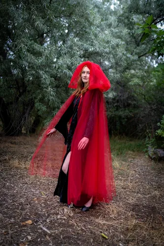 Vista 6 de Little Adventures Capa con capucha transparente de tul para adultos, disfraz de fiesta de cosplay a la moda