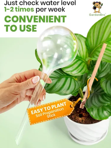 Vista 4 de Juego de 4 globos de riego de plantas de plástico, juego automático de agua para plantas en interiores y exteriores, sistema de inserción de maceta