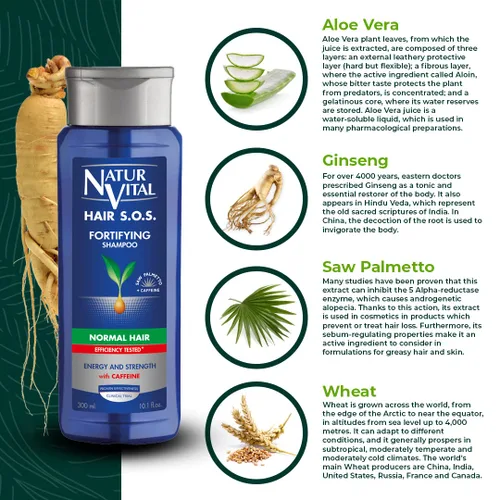 Vista 4 de NaturVital Champú revitalizante para cabello orgánico de aloe vera y ginseng unisex, natural para cabello normal, evita la rotura del cabello, libre