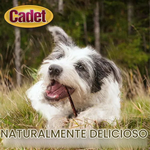 Vista 4 de Cadet Palitos masticables de piel de res de alta calidad para perros, 100