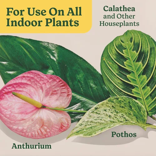 Vista 9 de Miracle-Gro - Alimento para plantas de interior para todas las plantas, 8 onzas líquidas (paquete de 2)