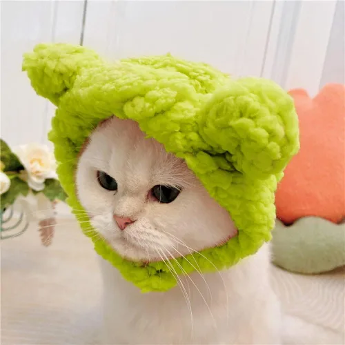 Vista 5 de JOICEE - Lindo disfraz de gato - Cálido sombrero de oso para mascotas pequeñas (color aguacate)
