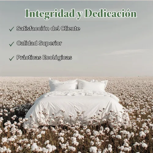 Vista 8 de Threadmill Juego de sábanas individuales de algodón orgánico, percal beige, 3 piezas, Oeko-TEX