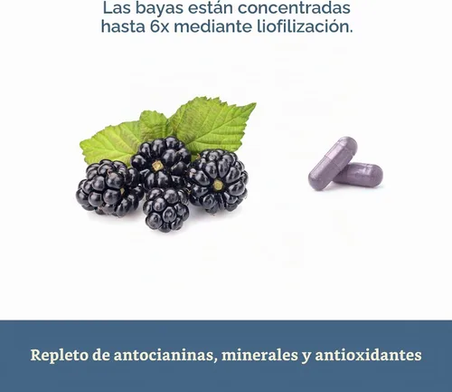 Vista 6 de Eclectic Institute Fruta de mora cruda fresca liofilizada sin OMG 90 CT (480 mg)