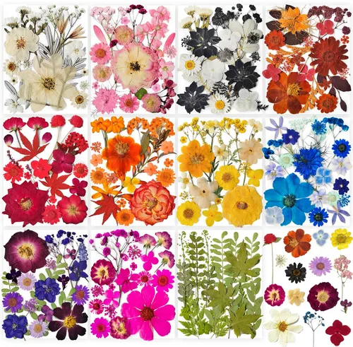 Vista 15 de 14 Tipos 37 piezas Flores Azules Secas Prensadas para Moldes de Resina, YouthBro Flores Secas Naturales Prensadas para Manualidades de Arte DIY
