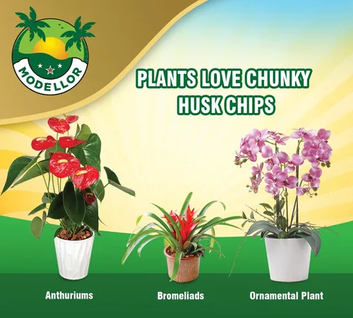 Vista 6 de MODELLOR Premium súper lavado, limpio, chips de coco, rinde 2 pies cúbicos de chips sueltos. Sustrato para reptiles, orgánico, absorbe olores