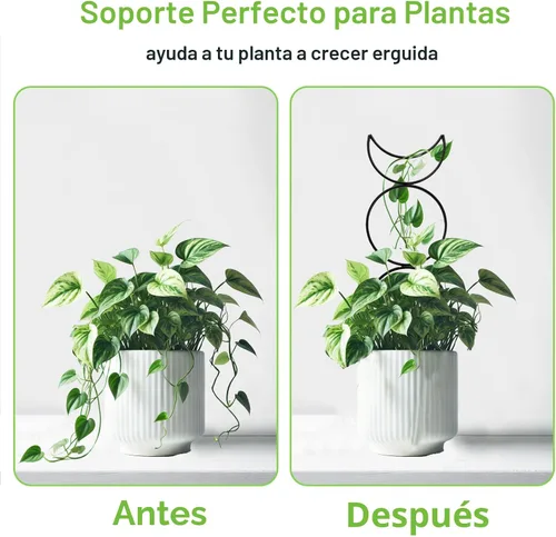 Vista 5 de 4 Paquetes de Enrejados para Plantas Trepadoras de Interior, HENABLE Enrejado de Metal Pequeño para Jardín para Plantas en Macetas al Aire Libre