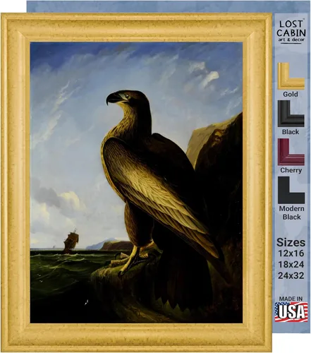 Vista 10 de Lost Cabin American Flamingo por James Audubon Impresión en marco biselado negro Reproducción de pintura de obras de arte finas Póster