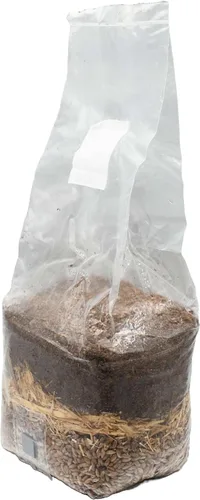 Vista 3 de Bolsa de cultivo de hongos todo en uno a base de madera