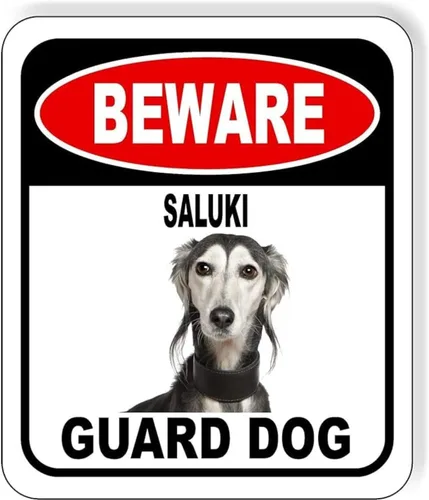 Vista 100 de BEWARE BASSETT HOUND GUARD DOG - Letrero compuesto de aluminio para exteriores, 8.5 x 10 pulgadas CUIDADO BASSETT HOUND GUARD PERRO