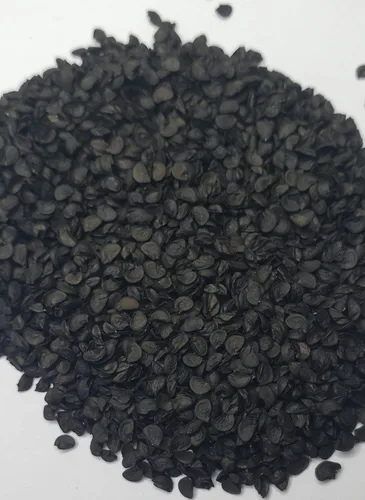 Vista 2 de Semillas de cebolla agrupadas "Ishikura Long Winter" – Cebolla agrupada de rápido crecimiento – Allium fistulosum Nunca transgénicos, siempre