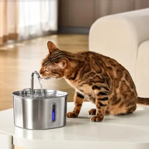 Vista 6 de KittySpout Fuente de Agua para Gatos de Acero Inoxidable Fuente de Beber Automática, Cuenco de Agua Circulante Silencioso, Apto para Lavavajillas