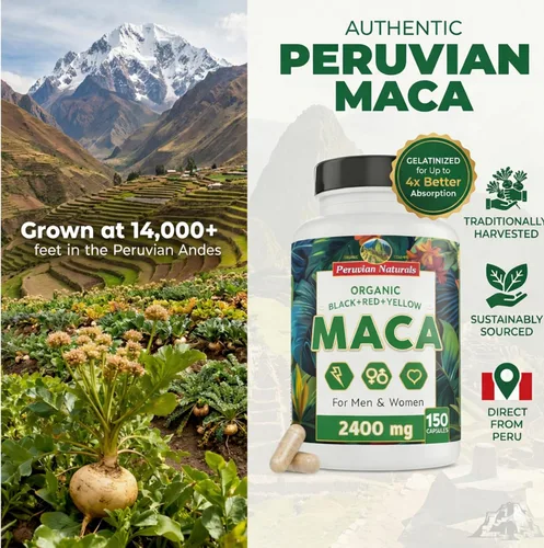 Vista 5 de Cápsulas de raíz de maca orgánica para mujeres y hombres, 2400 mg por porción, 150 píldoras, suplemento de maca negra, roja y amarilla, raíz de maca