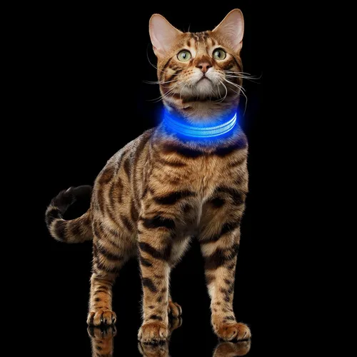 Vista 7 de Illumifun Collar LED para Perros Pequeños - Collar de Seguridad para Perros con Luz Recargable por USB, Collar con Luz de Correa de Nailon Ajustable