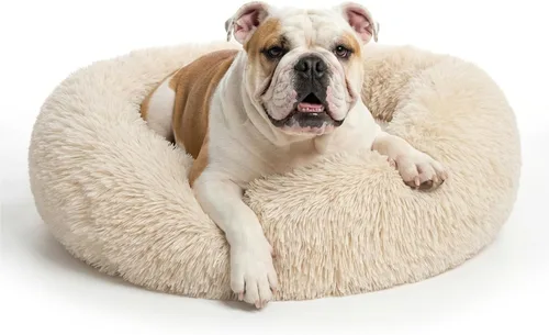 Vista 56 de Cama para perros pequeños, cama calmante para perros pequeños, antiansiedad, cama para cachorros, lavable a máquina, esponjosa, de lujo Verde militar