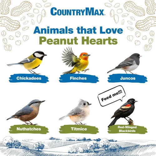 Vista 3 de CountryMax Backyard Seeds Corazones de maní para aves silvestres 10 libras