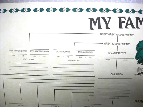 Vista 2 de Genealogía de Gráfico de Árbol Geneal
