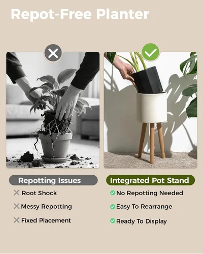 Vista 7 de Bamworld - Soporte para plantas de interior para plantas