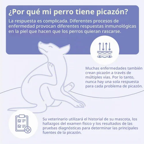 Vista 7 de Mal-A-Ket Plus TrizEDTA Acondicionador en aerosol para perros y gatos, 8 onzas