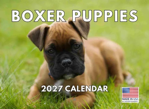 Vista 68 de Calendario mensual de pared Airedale Terrier Dog 2027
