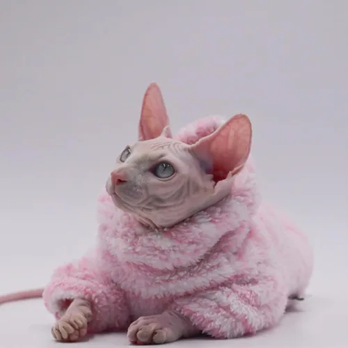 Vista 8 de Ropa para gatos sin pelo, de grosor cálido, suave, de invierno, para gatos Sphynx, gatos Devon Rex, Cornish y gatos pequeños (XS)