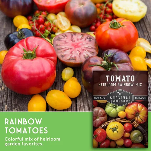 Vista 3 de Heirloom Rainbow Mix Semillas de tomate para plantar, 1 paquete Colorful Tomatoes Seed Blend, High Yield Garden Varieties, Non-GMO Open-Pollinated