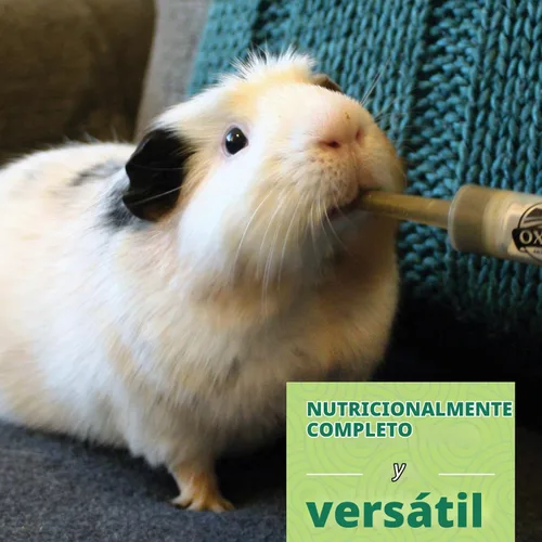 Vista 5 de Oxbow Critical Care Herbívoro - Fórmula para mascotas pequeñas, plátano