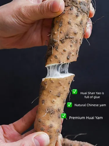 Vista 2 de Polvo de ñame chino, medicina herbaria china pura y natural, 10.58 onzas / 10.58 oz ShanYao Fen - raíz de ñame - 10.58 oz (polvo de ñame chino)