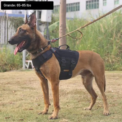 Vista 2 de ICEFANG GN3 - Arnés táctico para perros con 6 hebillas, chaleco Molle para perro con asa, cobertura de 3/4 del cuerpo, panel de gancho y bucle