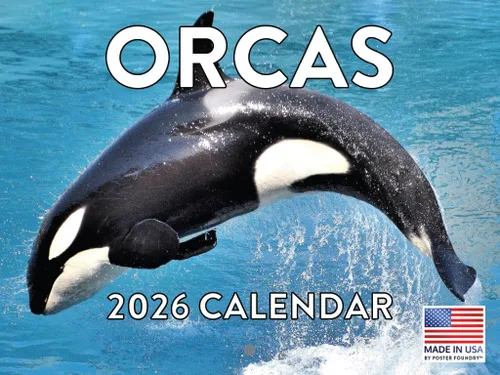 Vista 41 de Calendario de cocodrilo 2025 mensual de pared de 12 meses