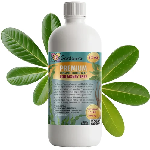 Vista 71 de GARDENERA Superalimento orgánico prémium de algas marinas y algas marinas para plantas AROID - 32 oz - Concentrado de fertilizante líquido de algas