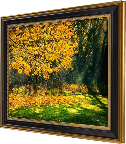 Vista 2 de marco de fotos de 16x20 pulgadas sin paspartú para póster/foto/impresión de 16x20, pantalla de montaje en pared de vidrio real resistente a roturas